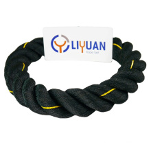 3 Day Proofing Hot Sale Polypropylene Winch Mooring Rope